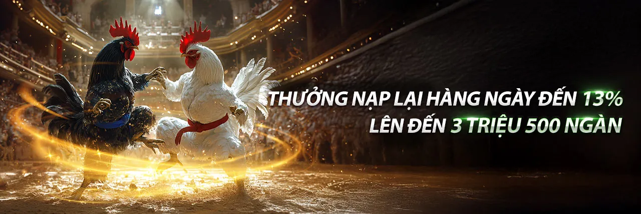 Hình ảnh giới thiệu về CPC3, nền tảng cá cược trực tuyến hàng đầu